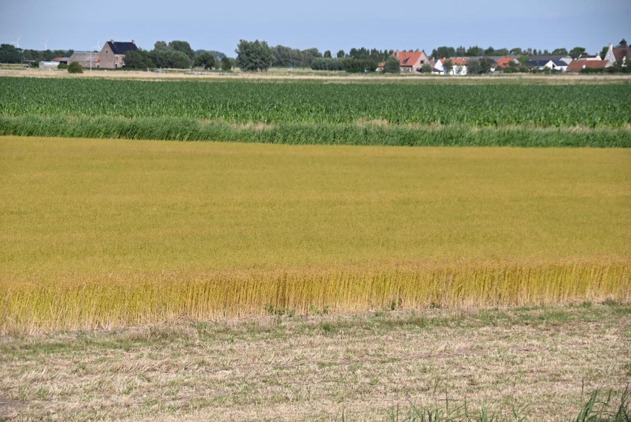 Апартаменты Vakantie Apppartement De Haan Park Zeepolder Экстерьер фото